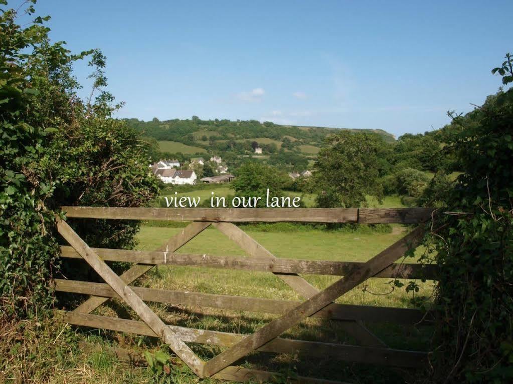 Stunning Countryside Views & Private Balcony! Cozy Room, 3 Miles To Lyme Regis - Free Parking & Wifi Аксминстер Экстерьер фото